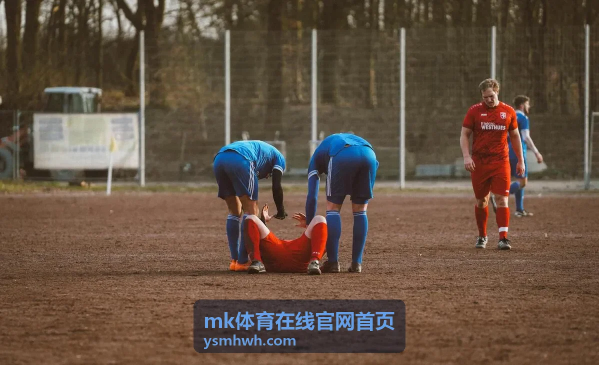 mk体育在线官网首页 密码找回与安全设置配图