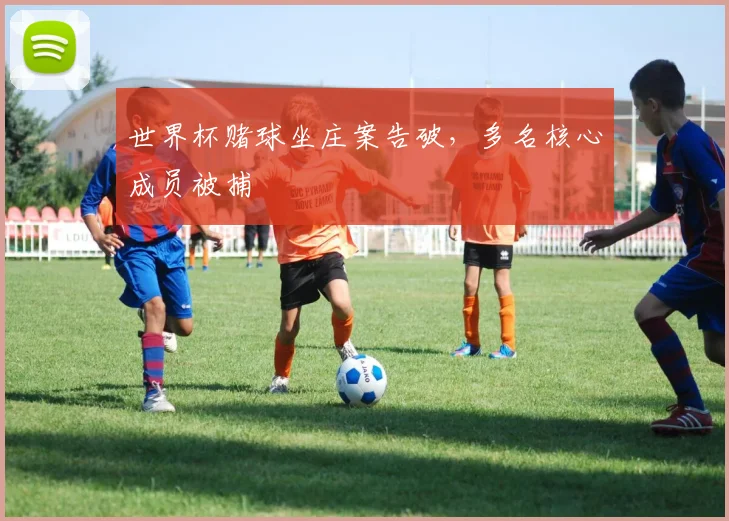 世界杯赌球坐庄案告破，多名核心成员被捕