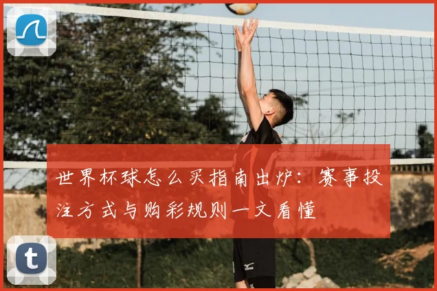 世界杯球怎么买指南出炉:赛事投注方式与购彩规则一文看懂