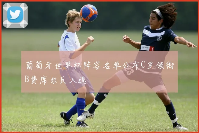 葡萄牙世界杯阵容名单公布C罗领衔B费席尔瓦入选