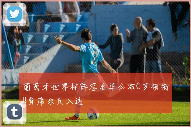 葡萄牙世界杯阵容名单公布C罗领衔B费席尔瓦入选