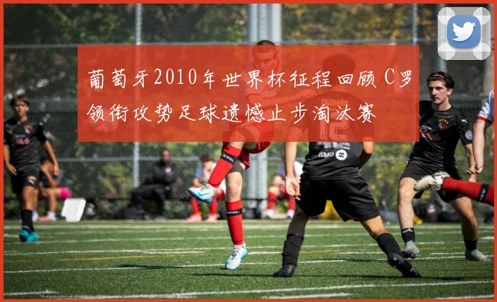 葡萄牙2010年世界杯征程回顾 C罗领衔攻势足球遗憾止步淘汰赛