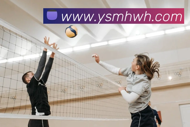 米兰体育在线登录入口平台生态图