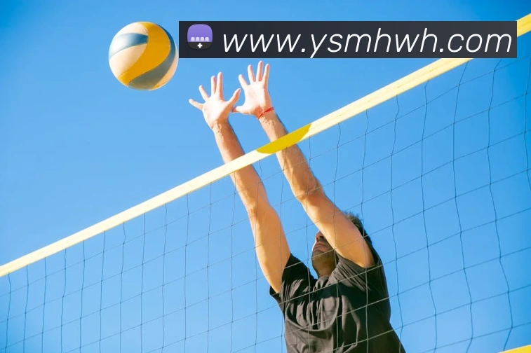 米兰体育在线登录入口APP 封面图